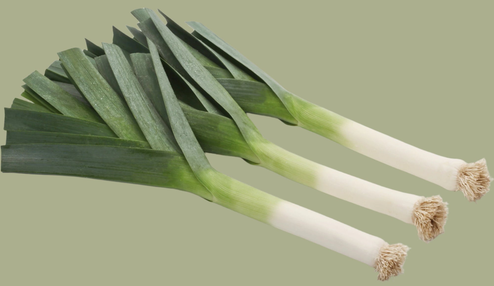 Leeks (1 bunch)