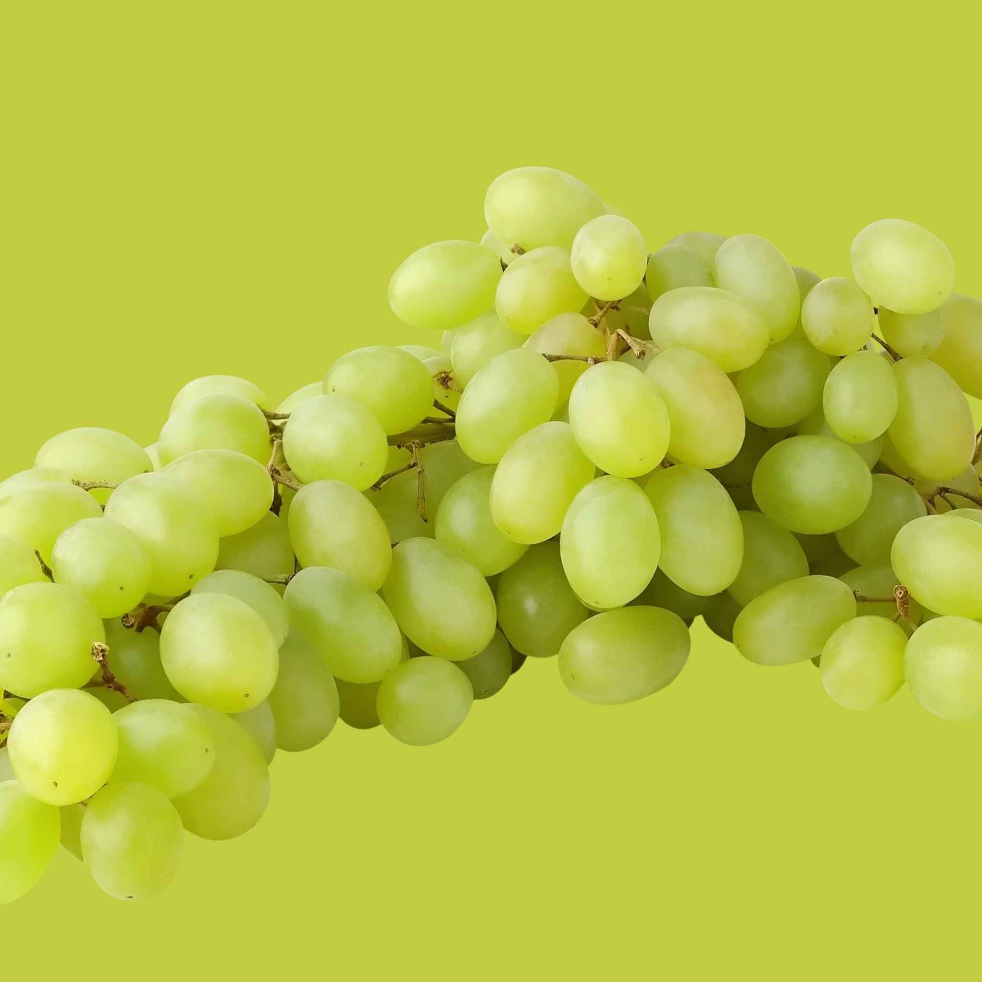 Green Seedless Grapes (1 bag)