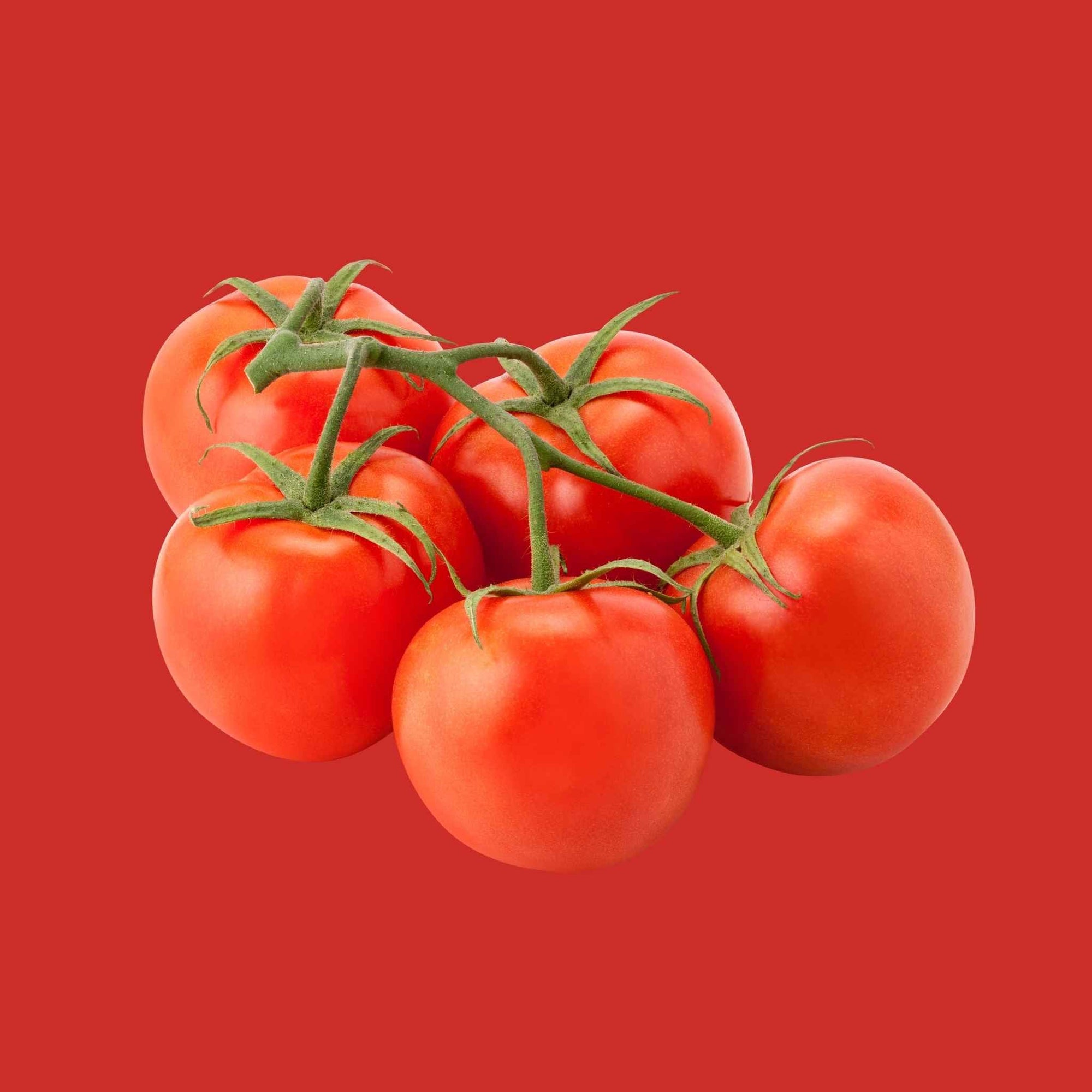 Tomato on the Vine (1 bunch)