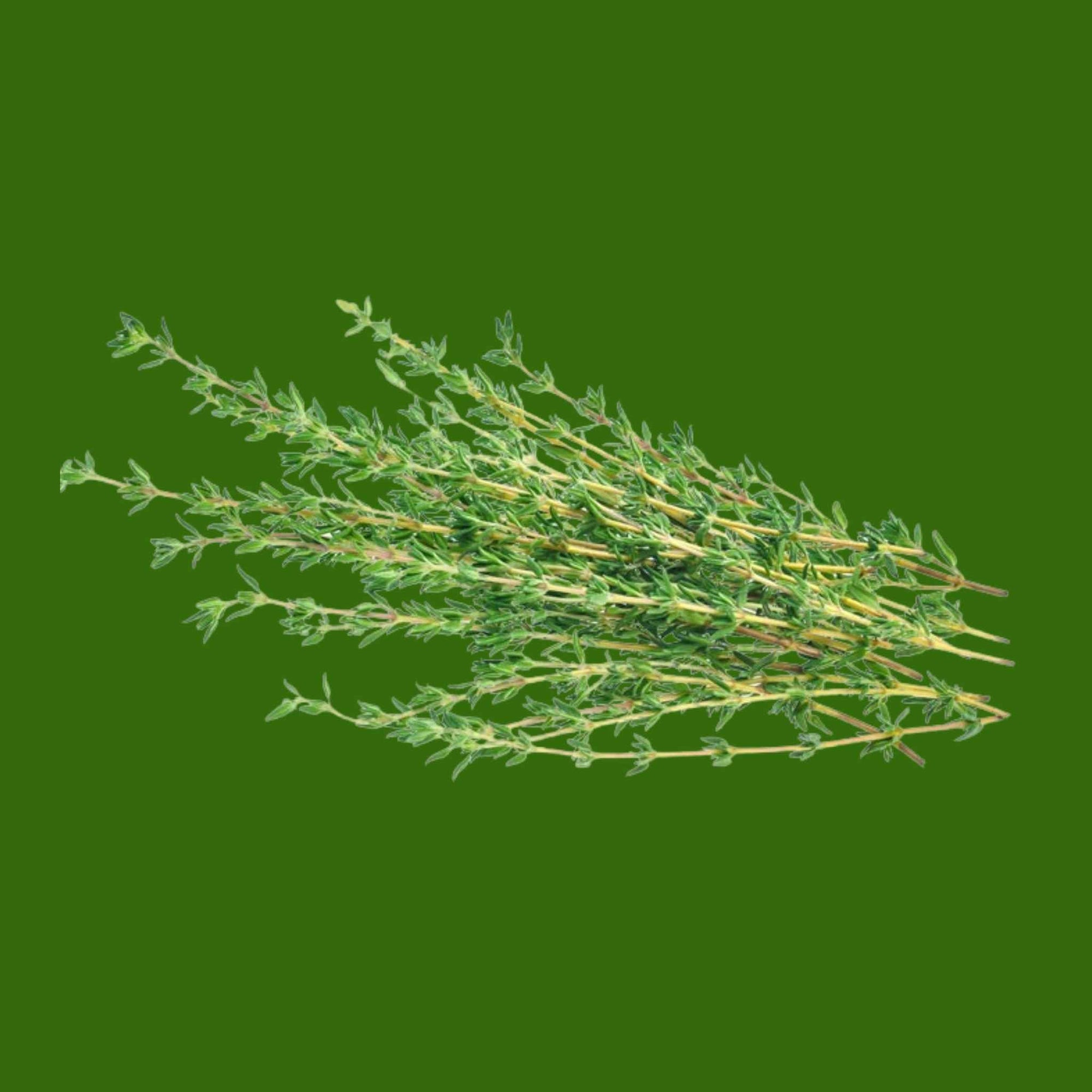 Thyme (1 bunch)