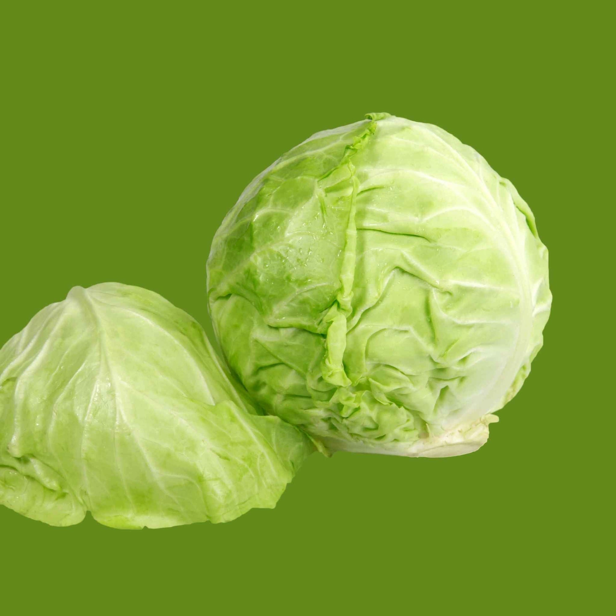 Green Cabbage (1 each)