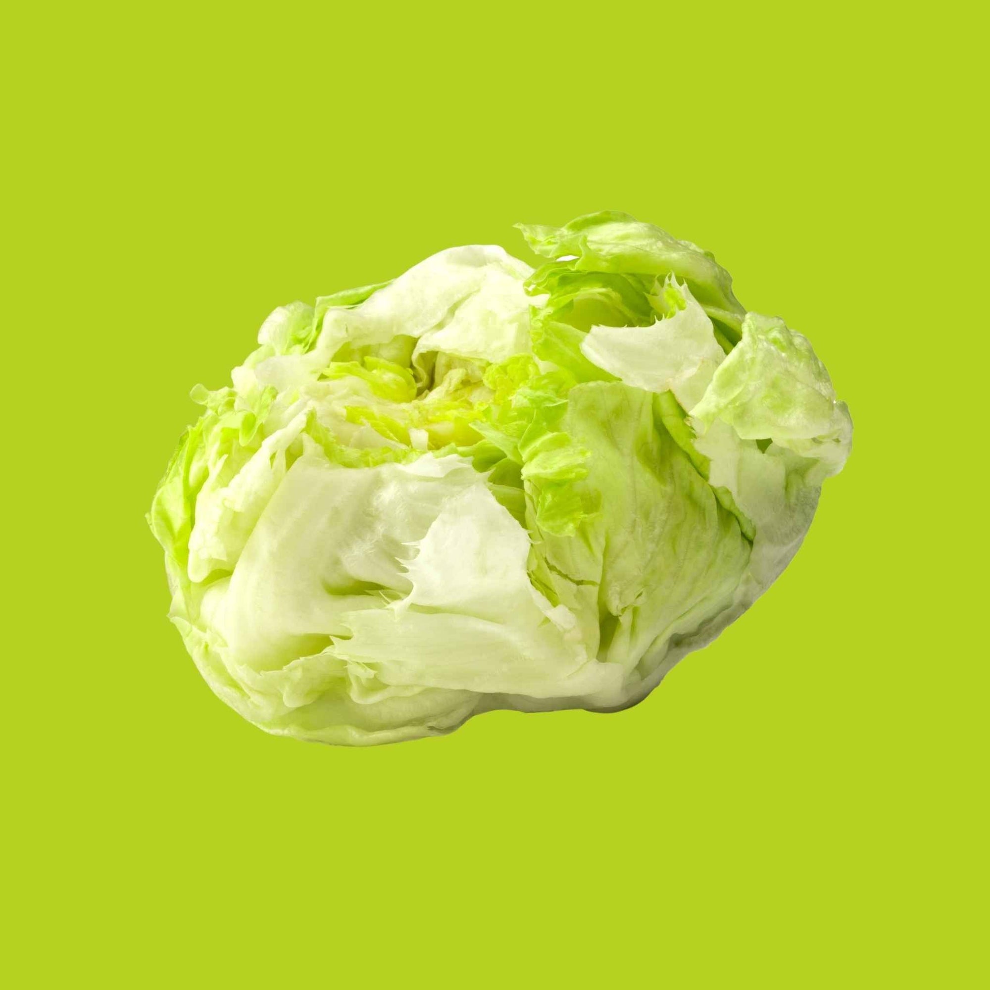 Iceberg Lettuce (1 each)