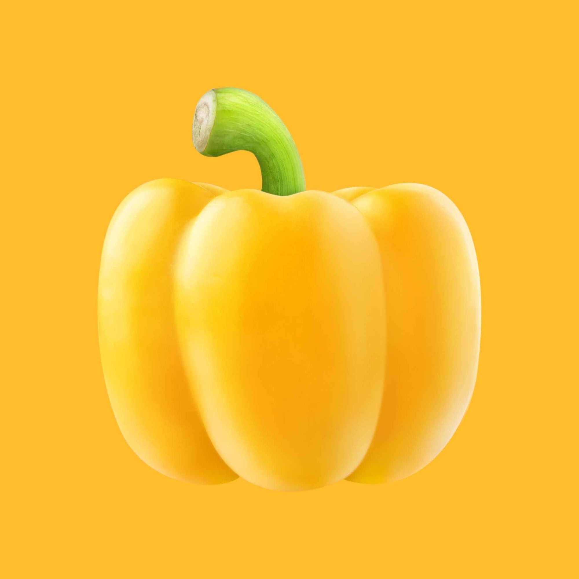 Yellow Pepper (2 pack)