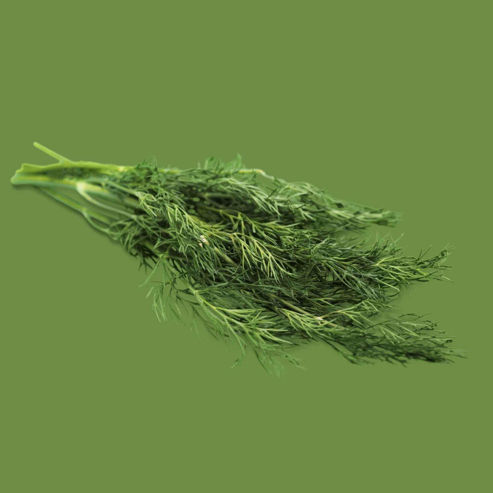 Dill (1 bunch)