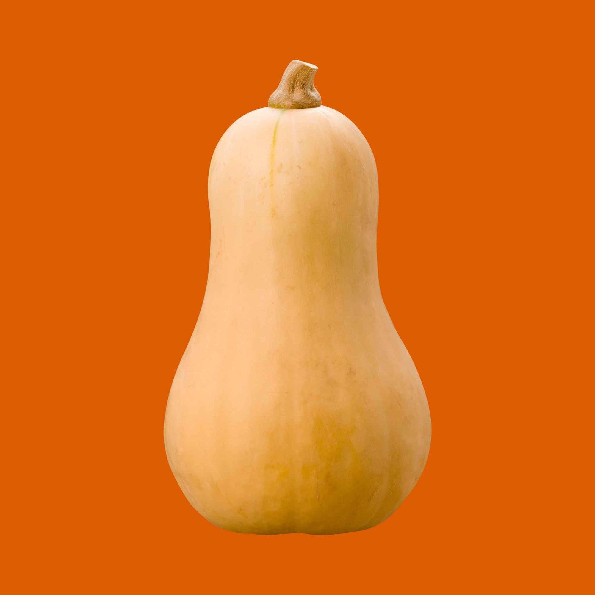 Butternut Squash (1 each)