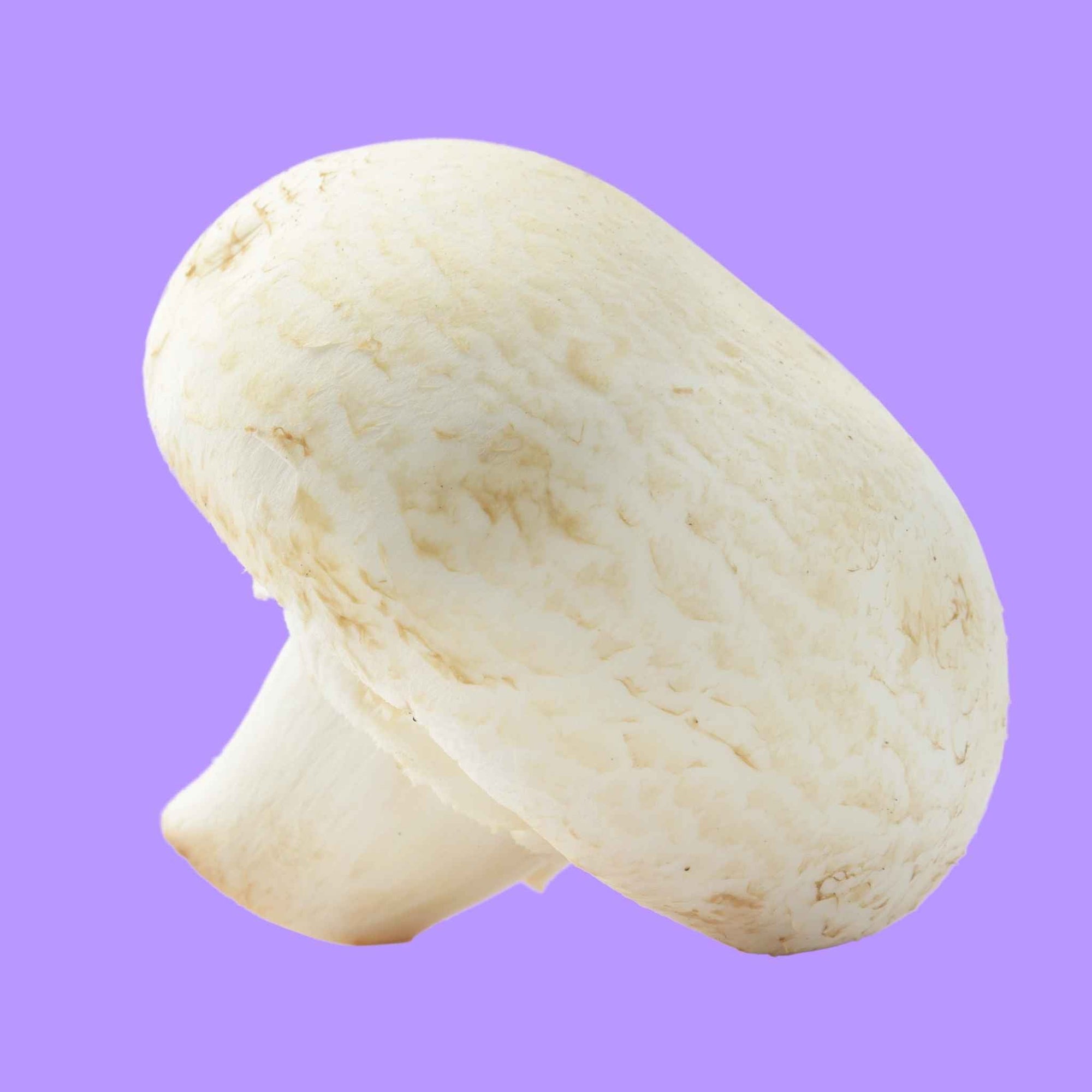 Mushrooms White Cello 227g (8oz)