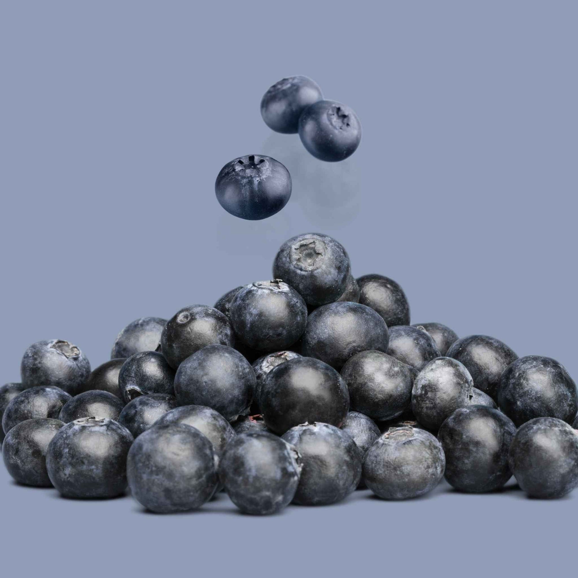 Blueberries 6oz