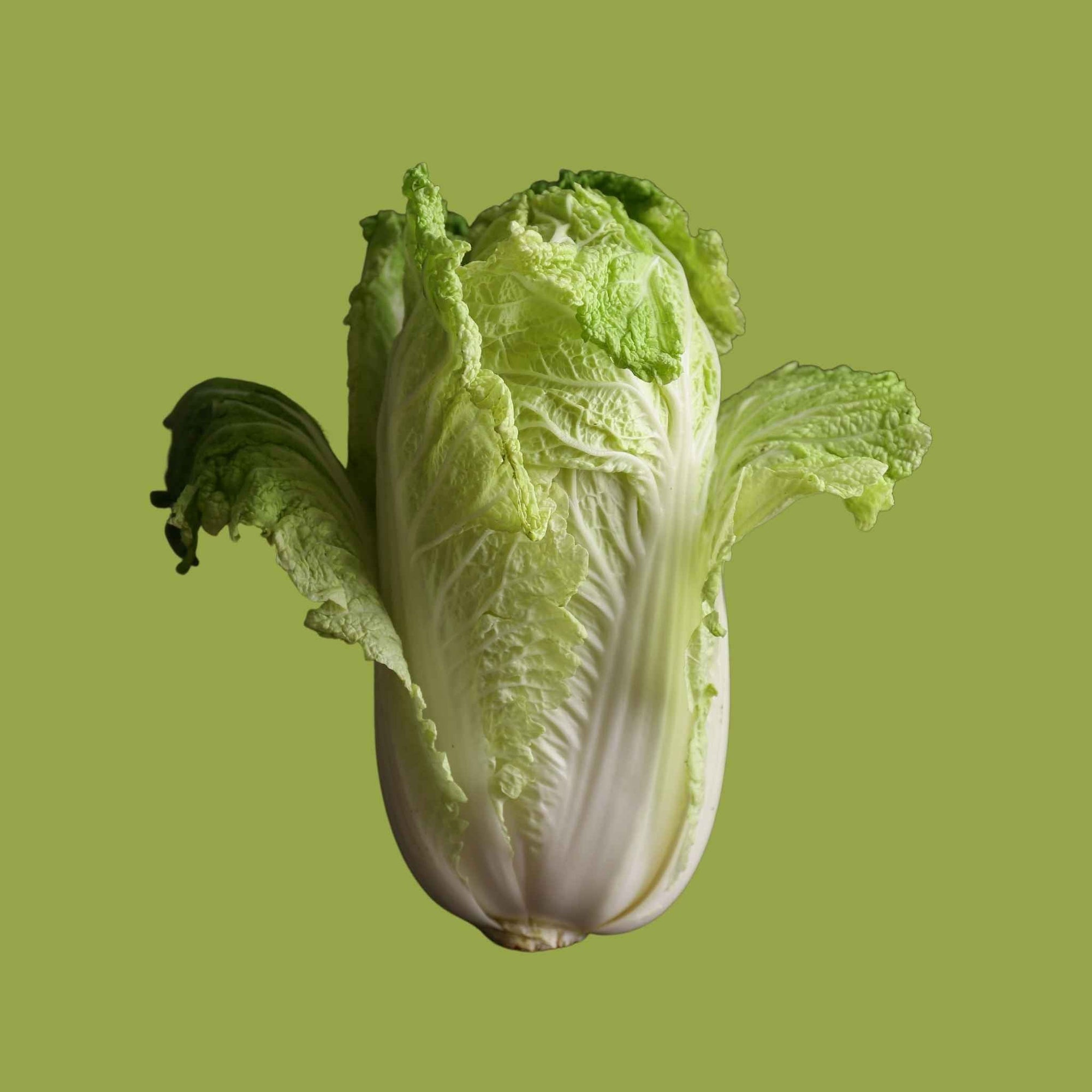 Nappa Cabbage (1 each)